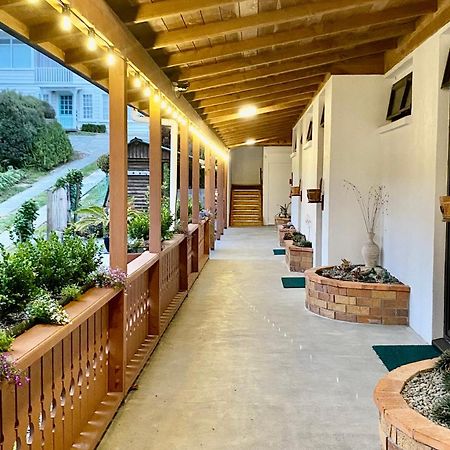The Swiss Chalet Holiday Apartment 5, Bay Of Islands Paihia Exteriér fotografie